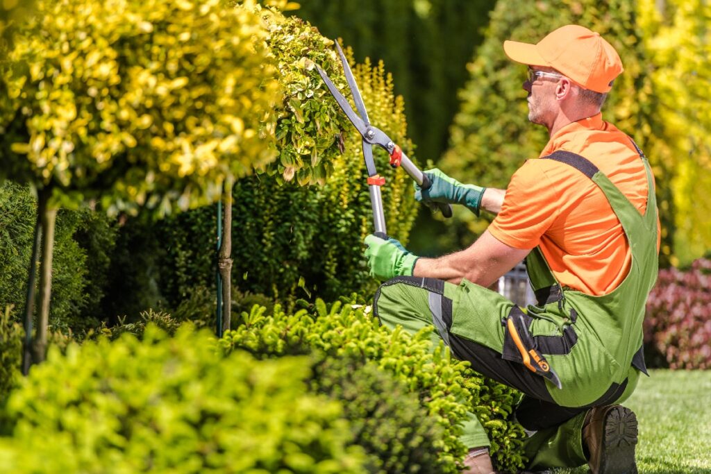 gartenpflege wien