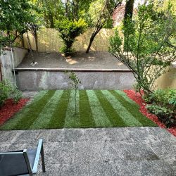 1000186006
